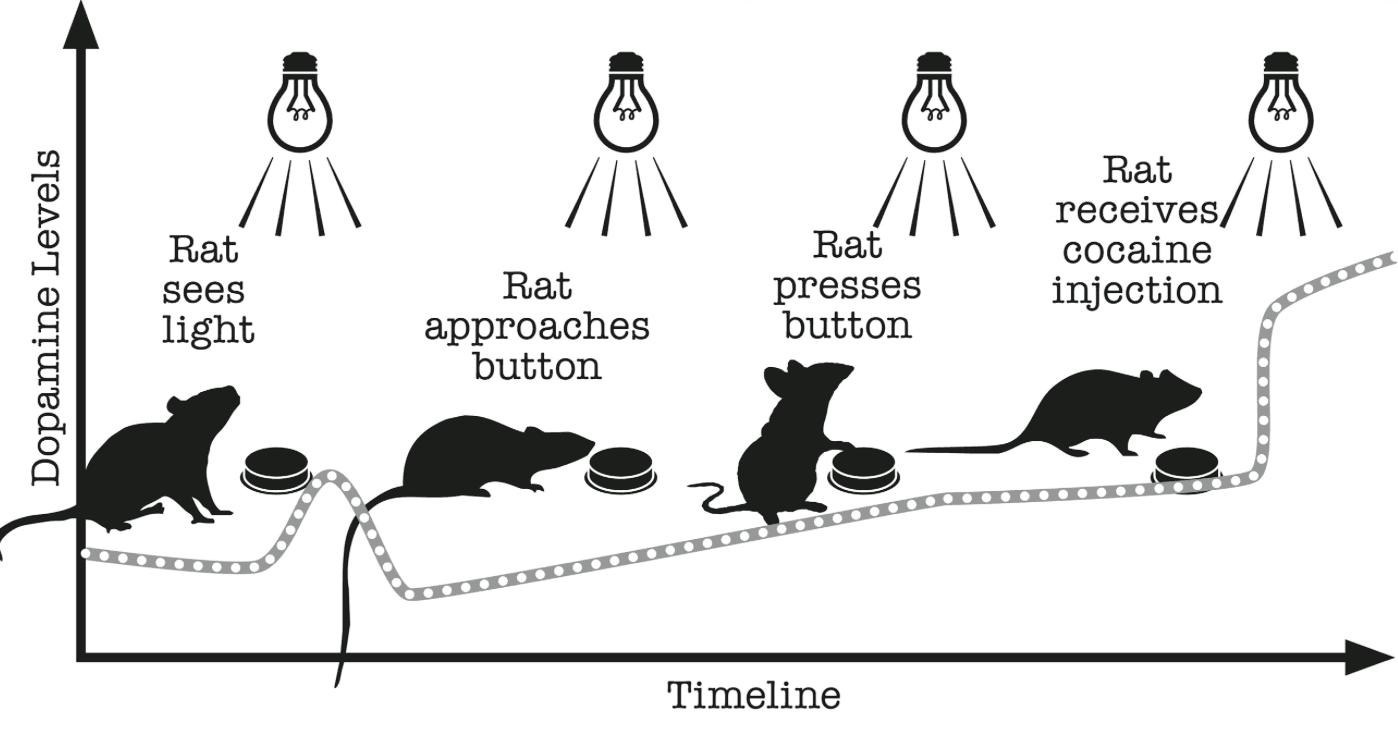 cue depenent learning pictograph